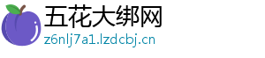 五花大绑网